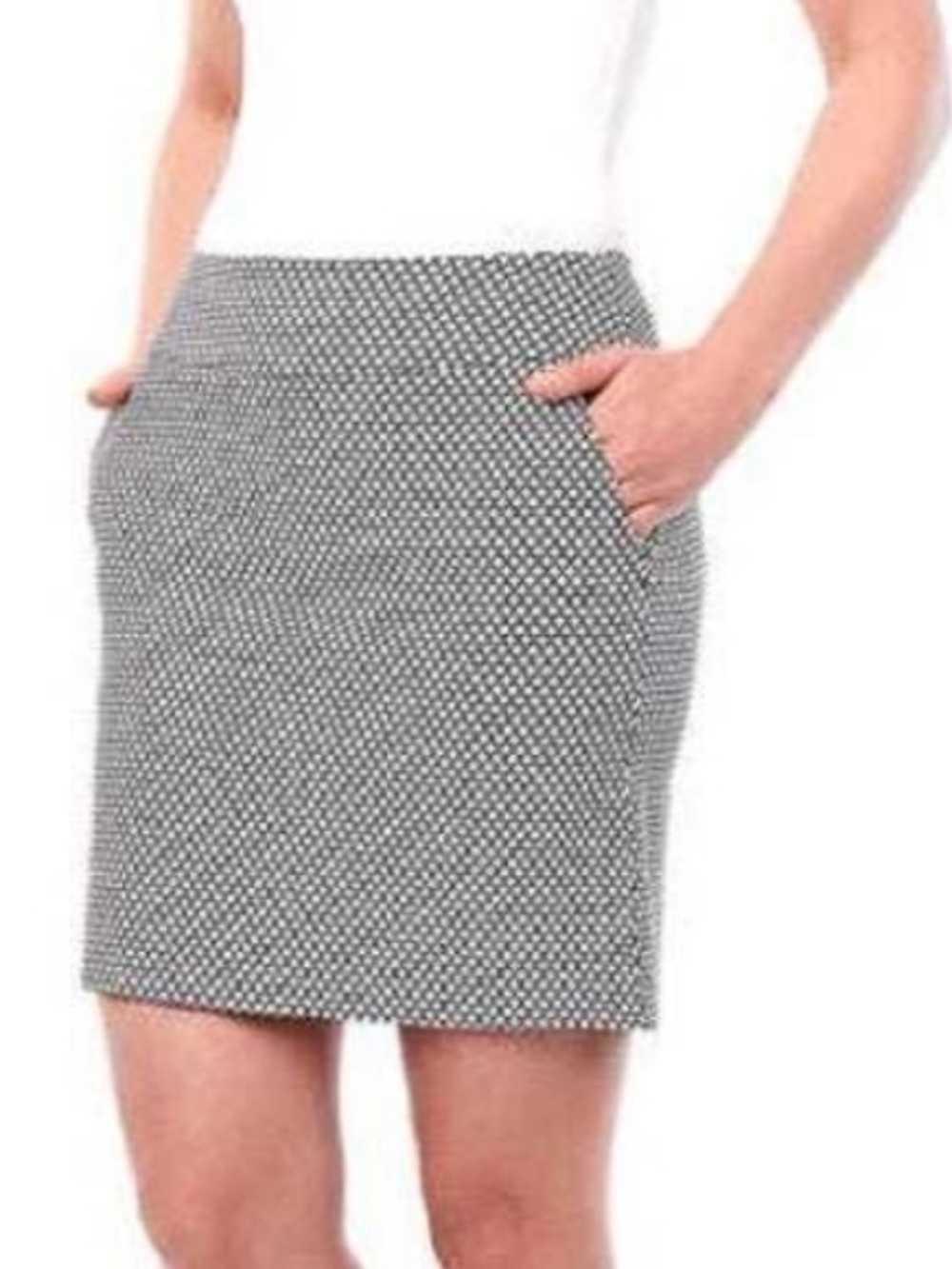 S.C. & CO. Black and White Mini Skirt